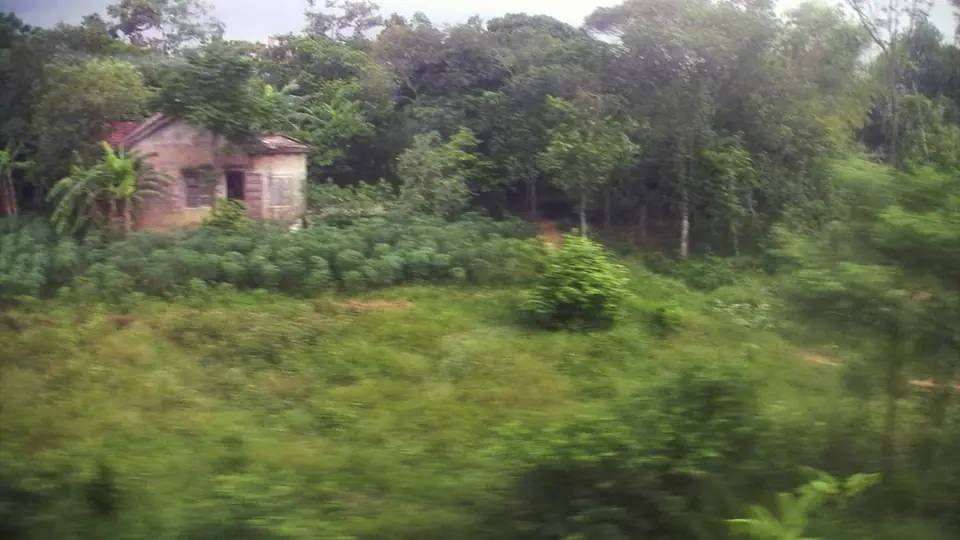 Green countryside seen from a moving train window